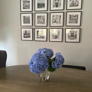 Meet your Posher, Antoinette